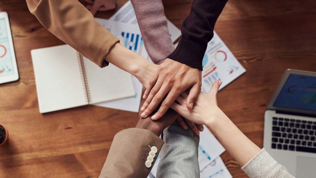 Digital Marketing Partner